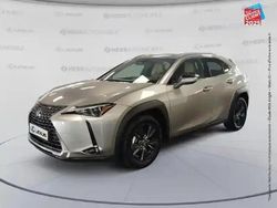 Gris Utilisé 2024 Lexus UX 300h SUV | 33 999 € (Super prix)