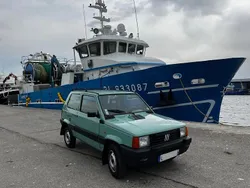 Vert Utilisé 2000 Fiat Panda 4x4 Trekking Citadine | 12 500 €