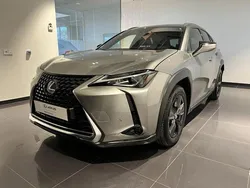 Gris Utilisé 2020 Lexus UX 250h SUV | 22 990 € (Prix juste)