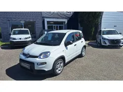 Utilisé 2023 Fiat Panda S Citadine | 12 990 € (Prix assez cher)