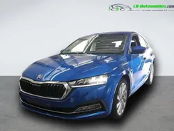 Utilisé 2021 Skoda Octavia Berline | 25 000 € (Prix assez cher)
