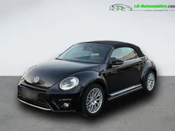 VW Beetle