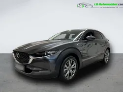 Utilisé 2024 Mazda CX-30 SUV | 39 500 € (Prix cher)