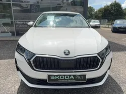 Blanc Utilisé 2024 Skoda Octavia Selection Berline | 30 490 € (Prix juste)