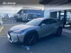 Gris Utilisé 2021 Lexus UX 250h SUV | 29 990 € (Prix assez cher)