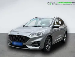 Utilisé 2023 Ford Kuga SUV | 28 900 € (Bon prix)