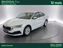 Blanc Utilisé 2022 Skoda Octavia Business Line | 19 970 € (Bon prix)