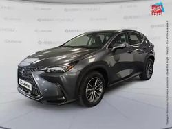 Gris Utilisé 2022 Lexus NX350h Business Edition SUV | 43 999 €