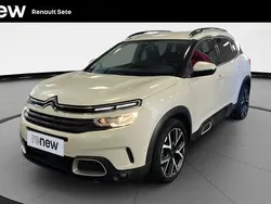 Gris Utilisé 2019 Citroën C5 Aircross Feel SUV | 19 290 € (Prix juste)