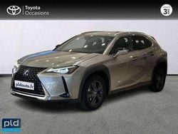 Utilisé 2023 Lexus UX 250h SUV | 26 990 € (Bon prix)