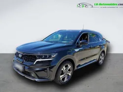 Utilisé 2021 Kia Sorento 2 SUV | 42 300 € (Prix assez cher)