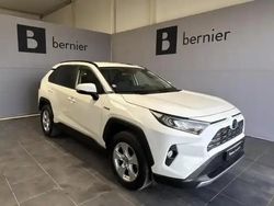 Blanc pur Occasion 2021 Toyota RAV4 Hybrid Business Edition SUV | 32 980 € (Prix juste)