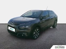 Gris Utilisé 2019 Citroën C4 Cactus PureTech Citadine | 10 490 € (Bon prix)