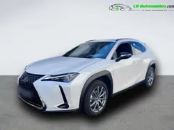 Utilisé 2022 Lexus UX 250h SUV | 41 500 €