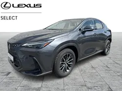 Gris Utilisé 2023 Lexus NX350h Business Edition | 50 490 €