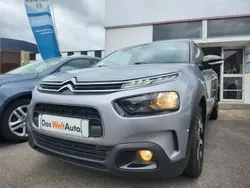 Gris Utilisé 2019 Citroën C4 Cactus Business Class Citadine | 13 990 €