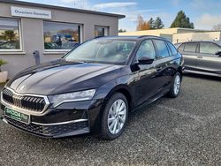 Occasion 2024 Skoda Octavia Selection Break | 30 490 € (Prix juste)