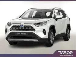 Blanc Nouvelle 2025 Toyota RAV4 Hybrid SUV | 40 266 € (Bon prix)