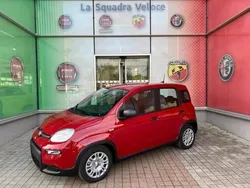 Rouge Nouvelle 2024 Fiat Panda Classica Citadine | 14 690 € (Prix juste)