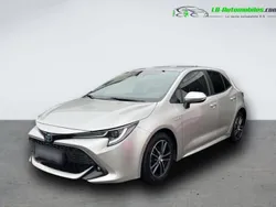Utilisé 2019 Toyota Corolla Citadine | 22 900 € (Prix juste)