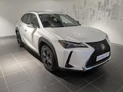 Blanc Utilisé 2025 Lexus UX 300h SUV | 41 900 €