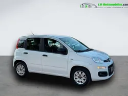 Utilisé 2017 Fiat Panda Citadine | 10 900 € (Prix juste)