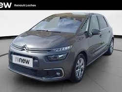 Gris Utilisé 2020 Citroën C4 SpaceTourer Feel Monospace | 13 900 € (Super prix)
