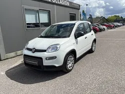 Blanc Nouvelle 2025 Fiat Panda Citadine | 14 990 € (Prix juste)