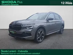 Gris Nouvelle 2025 Skoda Kamiq Monte Carlo SUV | 29 990 € (Prix assez cher)
