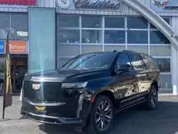 Utilisé 2023 Cadillac Escalade SUV | 133 000 € (Prix juste)