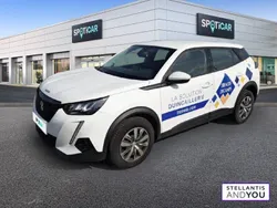 Othercolor Utilisé 2020 Peugeot 2008 Business-Line SUV | 14 590 € (Prix juste)