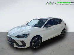 Utilisé 2024 Cupra Leon Citadine | 35 000 € (Prix cher)