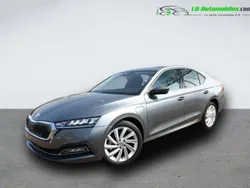Utilisé 2025 Skoda Octavia Berline | 32 400 € (Prix juste)