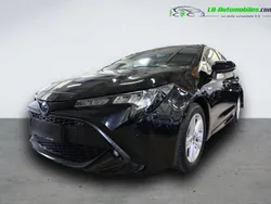 Utilisé 2021 Toyota Corolla Citadine | 24 000 € (Bon prix)