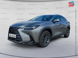 Gris Utilisé 2024 Lexus NX350h Business Edition SUV | 46 999 €