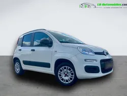Utilisé 2019 Fiat Panda Citadine | 12 000 € (Prix juste)
