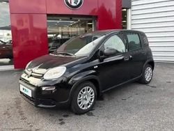 Noir cinema pastel extrasérie Utilisé 2025 Fiat Panda Classica Berline | 15 490 €