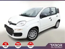 Blanc Nouvelle 2025 Fiat Panda Citadine | 13 864 €