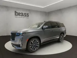 Bleu Utilisé 2024 Cadillac Escalade SUV | 115 400 €