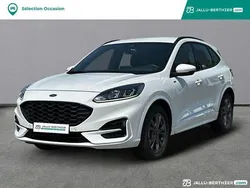Blanc Utilisé 2024 Ford Kuga ST-Line SUV | 28 900 € (Prix juste)