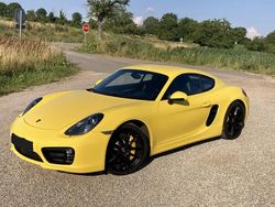 Jaune Utilisé 2013 Porsche Cayman S Coupé | 62 000 €