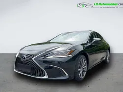 Utilisé 2021 Lexus ES300H Berline | 47 200 € (Prix assez cher)
