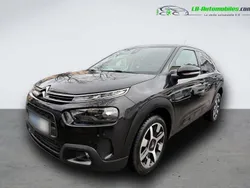 Utilisé 2019 Citroën C4 Cactus PureTech Citadine | 16 000 € (Prix assez cher)