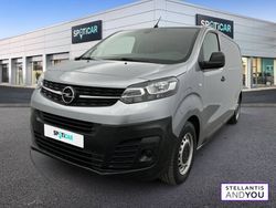 Gris Occasion 2021 Opel Vivaro-e Combi Business Van | 18 990 €