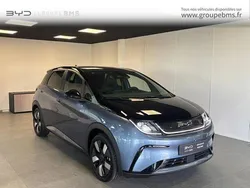 Nouvelle 2025 BYD Dolphin Design Citadine | 28 900 €