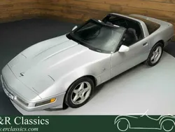 Gris Utilisé 1996 Chevrolet Corvette Cabriolet | 19 950 €