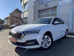 Utilisé 2023 Skoda Octavia Berline | 25 740 € (Super prix)