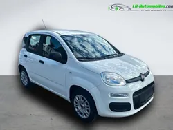 Utilisé 2019 Fiat Panda Citadine | 12 800 € (Prix assez cher)