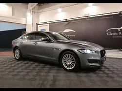 Gris Utilisé 2020 Jaguar XF Berline | 14 950 €