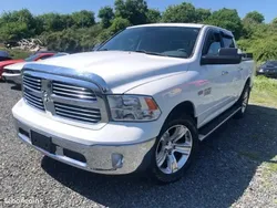 Couleur Utilisé 2017 Dodge Ram Pick-up | 42 900 € (Super prix)
